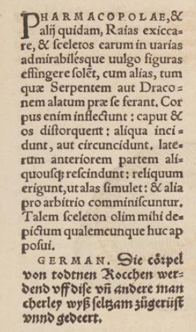 beschrijving-jenny-haniver-gessner