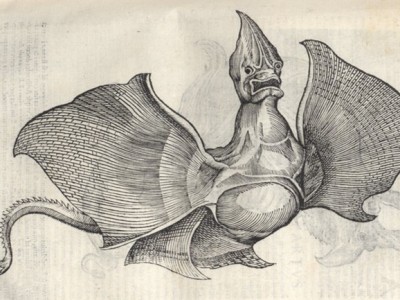Monstrous rays and fraudulent apothecaries
